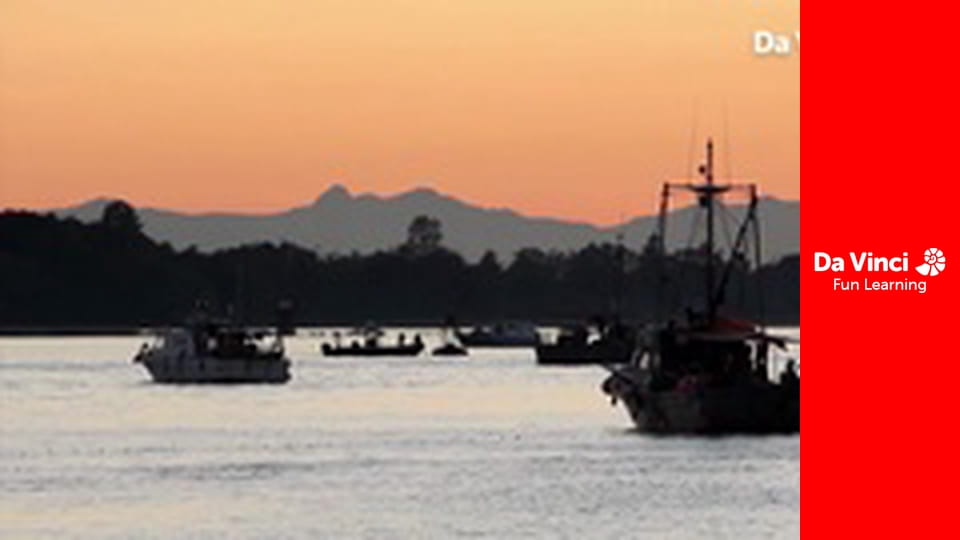 Дослідження: «Дивовижна планета» - Порятунок тварин