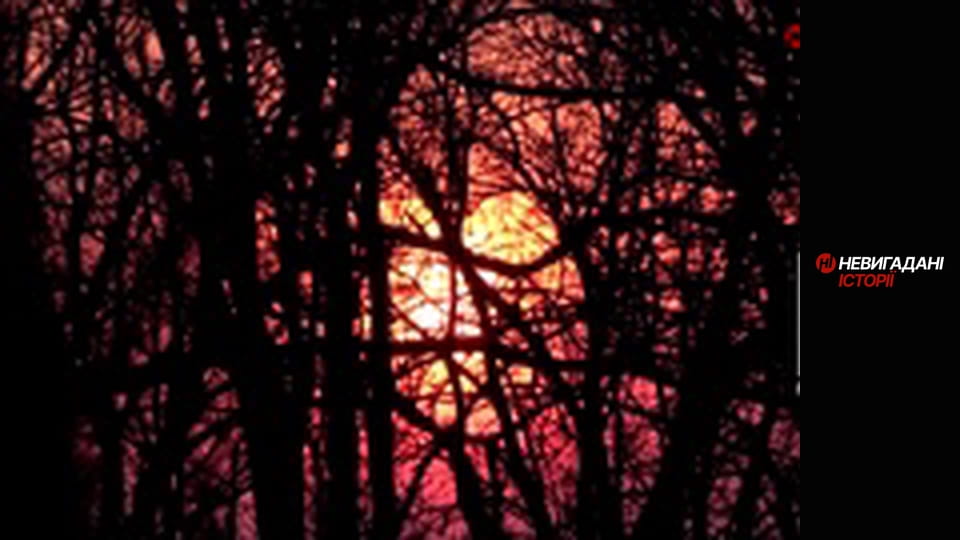 Невигадані історії.