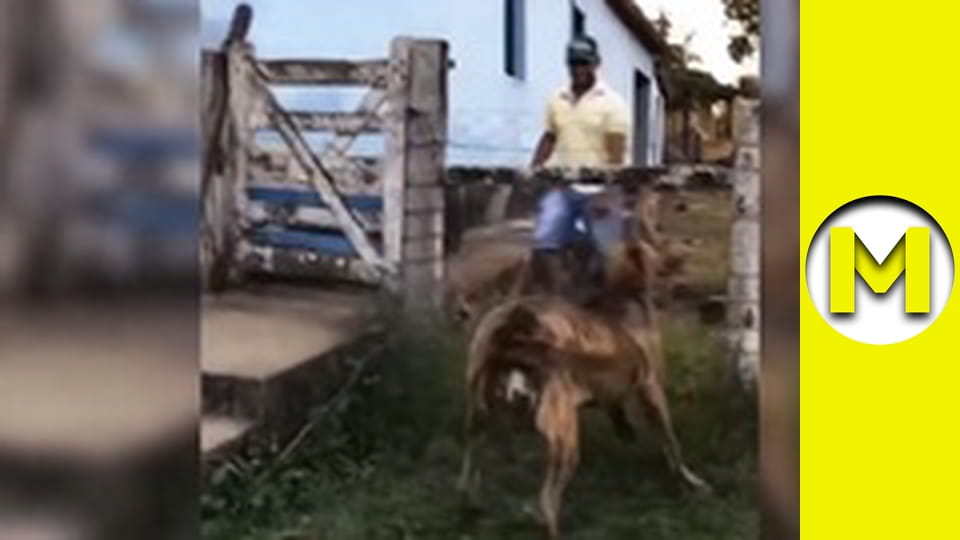 Max TV - сезон 2 - серія 49