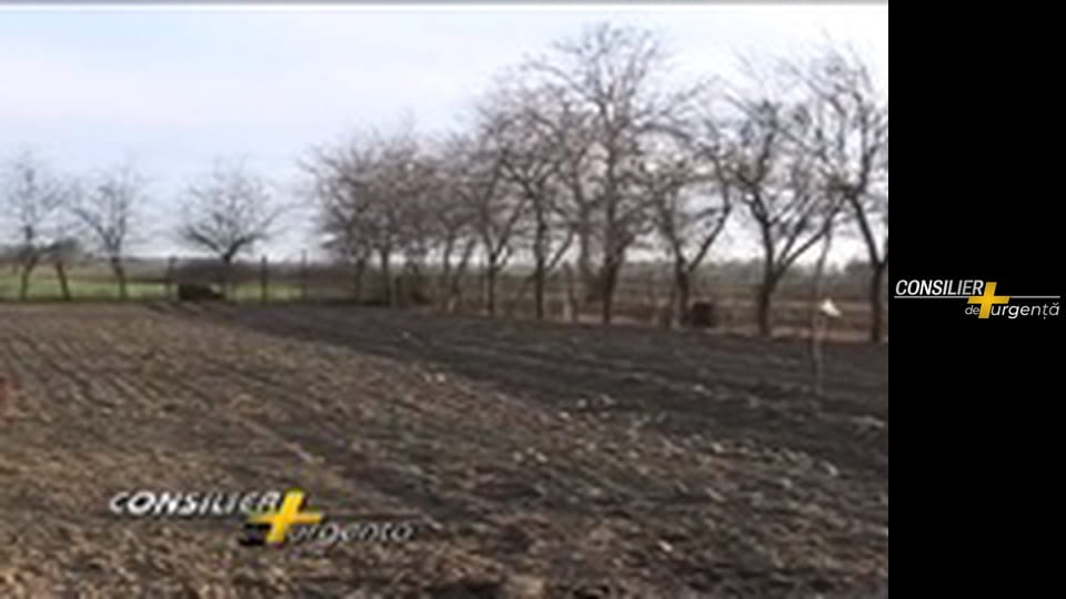 Consilier de urgență - Episodul 4