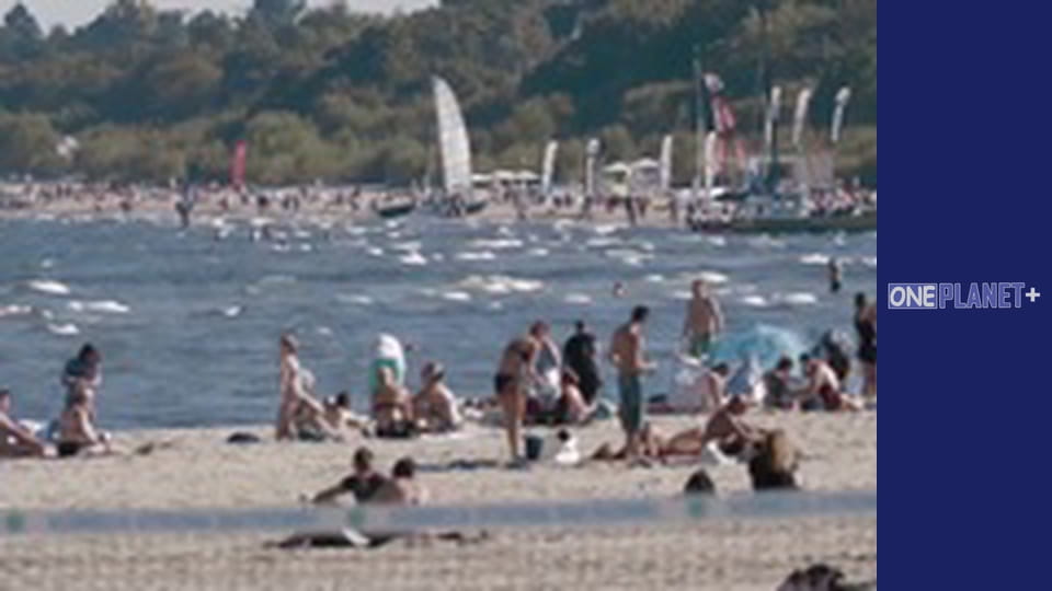 В поисках знаний. - cерия 19