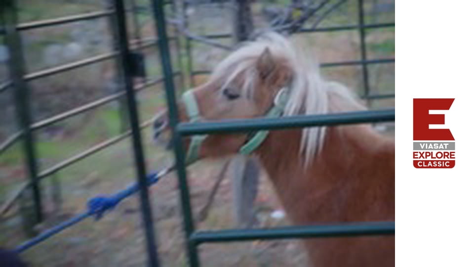 Backroad Truckers - Hauling Ass