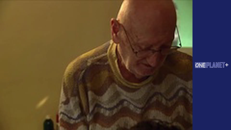 Мистецтво Простору. - серия 17