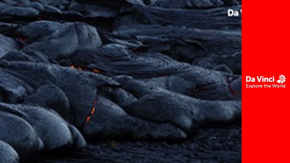 Бунтівні тварини - Смертоносна гусінь