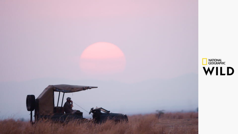 Катави - разрушенный рай в Африке S1E1