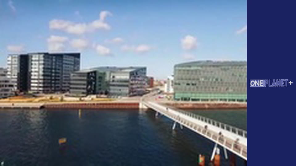 With my own eyes. - episode 2