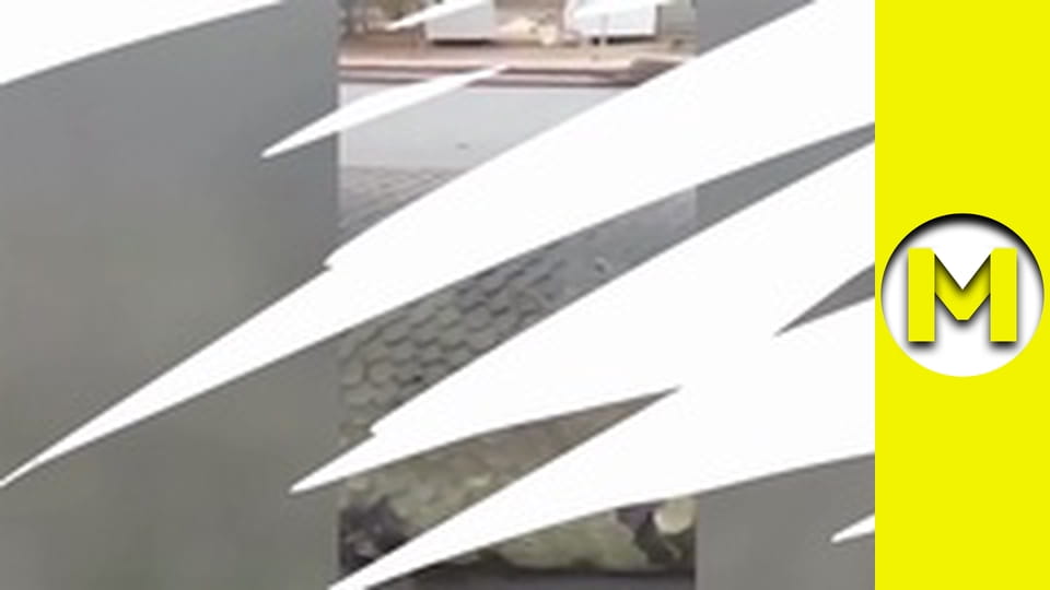 TOP (Max TV) - сезон 3 - серія 12