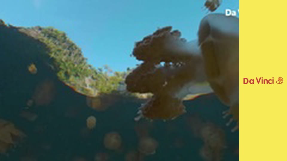 Футуріс. Глобальні спостереження.