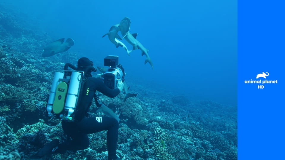 Смертельные острова S1E4 - Остров вулканов