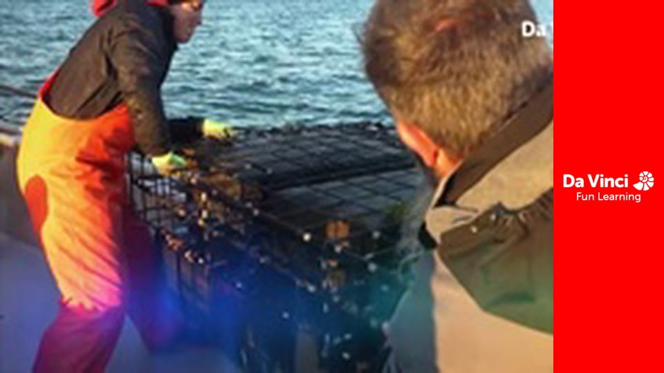 Дослідження: «Дивовижна планета» - Студент-дослідник