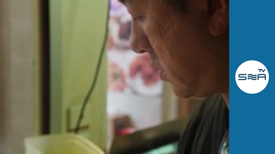 Food Safari Water - Feast for the whole world