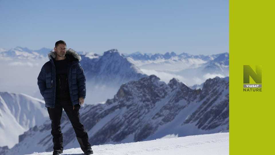 Льодовиковий період: крижаний світ S1E2