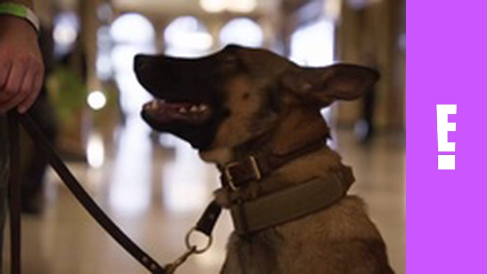 Real Housewives Of London After Show S1E10