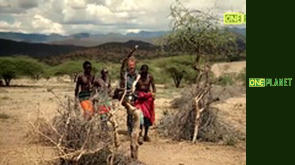 Голубые просторы, 1 эп.