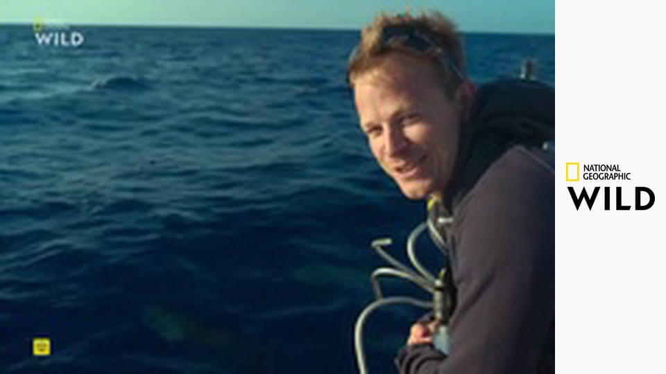 В мире дельфинов с Берти Грегори