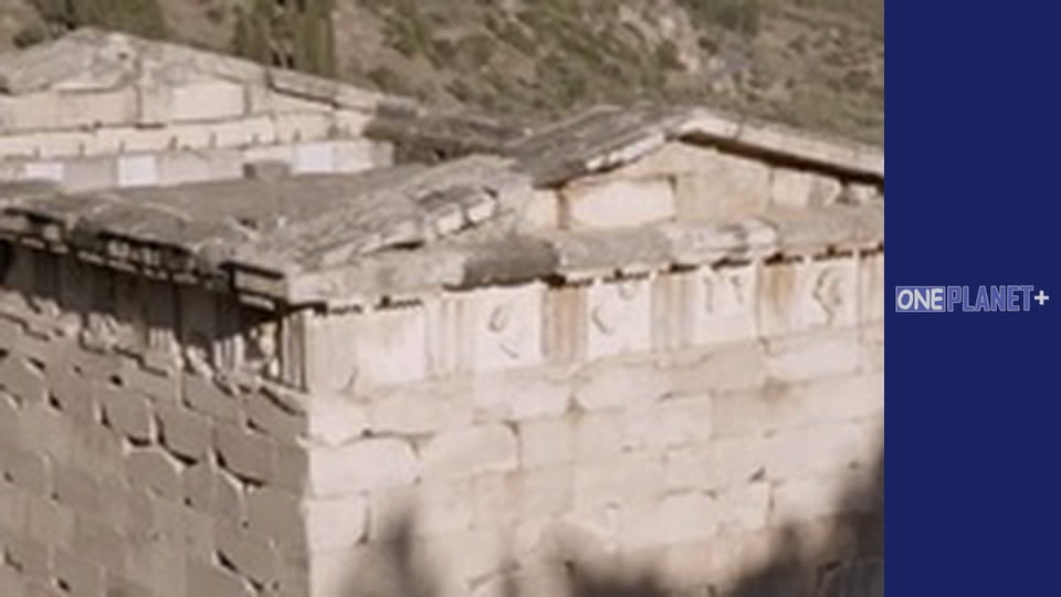 Подорож у Минуле, Випуск 8