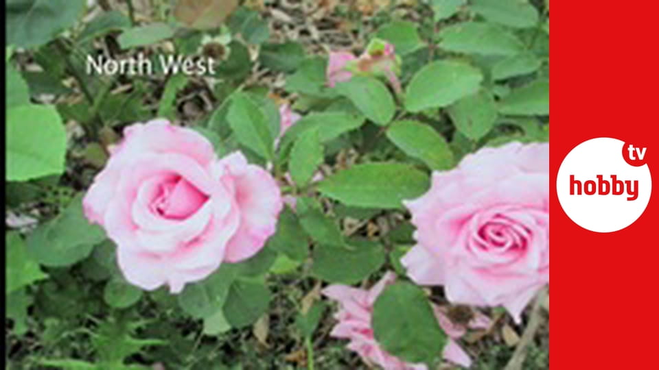 Jak najít vysněný dům E10