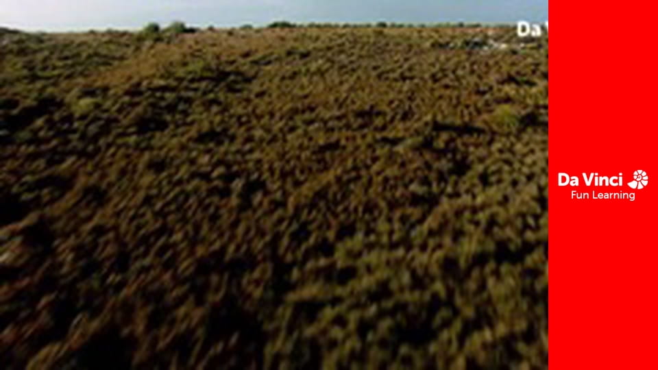 Сияя - Отправьтесь с нами - Скалолаз