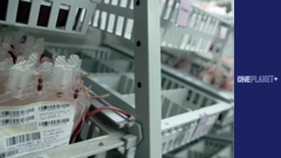 У пошуках знань. - серия 10