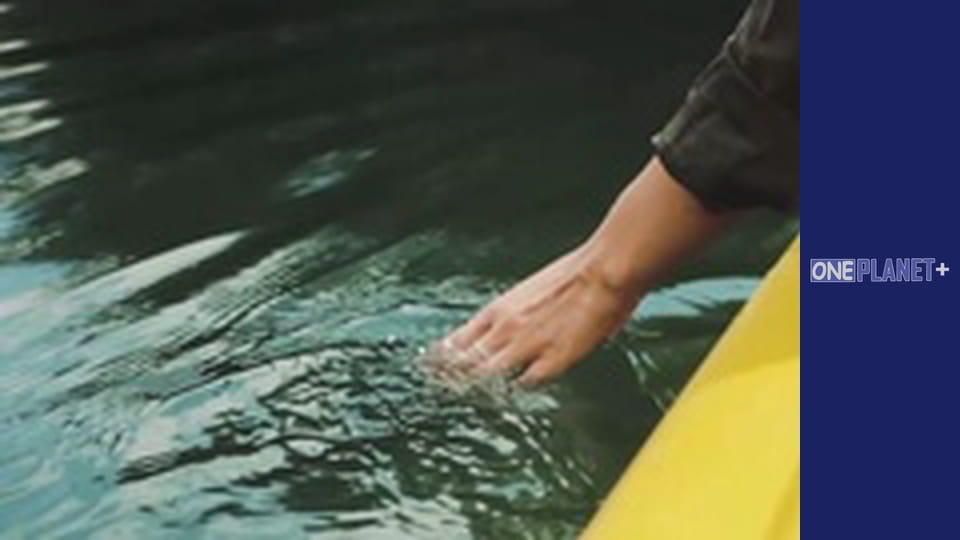 Варто Побувати. - серия 17