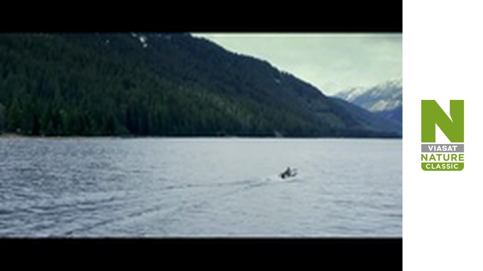 The Rockies' Wild Corridor: From Yellowstone To Yukon Season 1 Episode 3