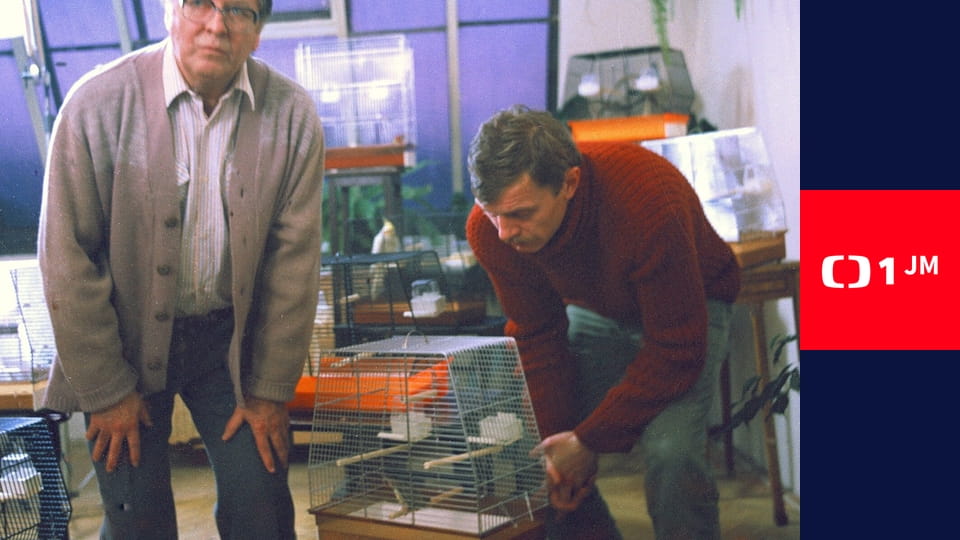 Sardinky, aneb život jedné rodinky