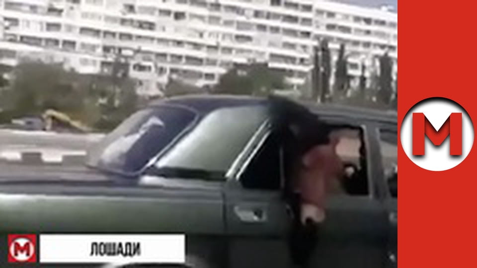 Макс ТВ- сезон 1 - серія 77