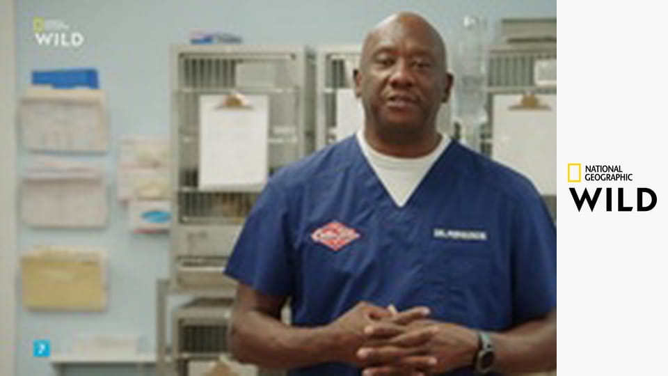 Ветпомощь для всех: Сборник S5E10