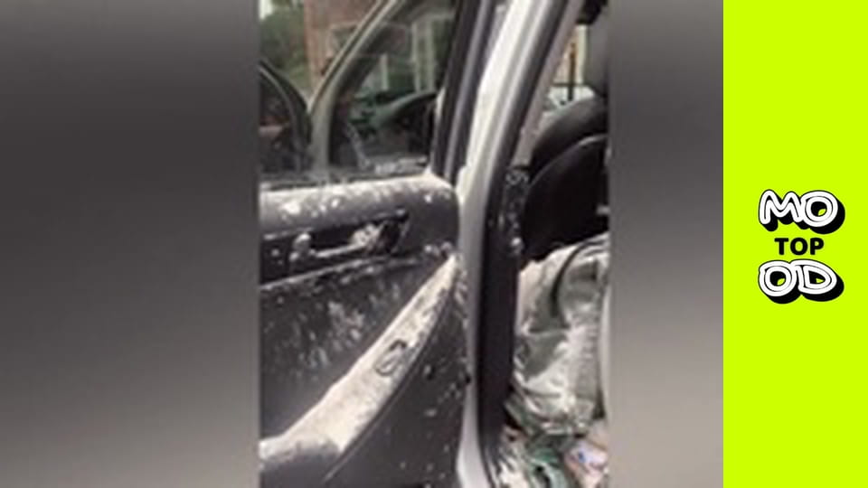 TopMood - Випуск 5