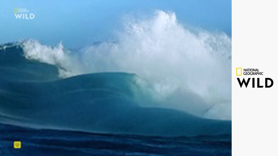 Tajomstvo tučniakov (3)