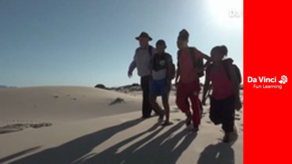 Siyaya - Wildest Cape - Lambert's Bay Bird Island - Where The Birds Are In Charge