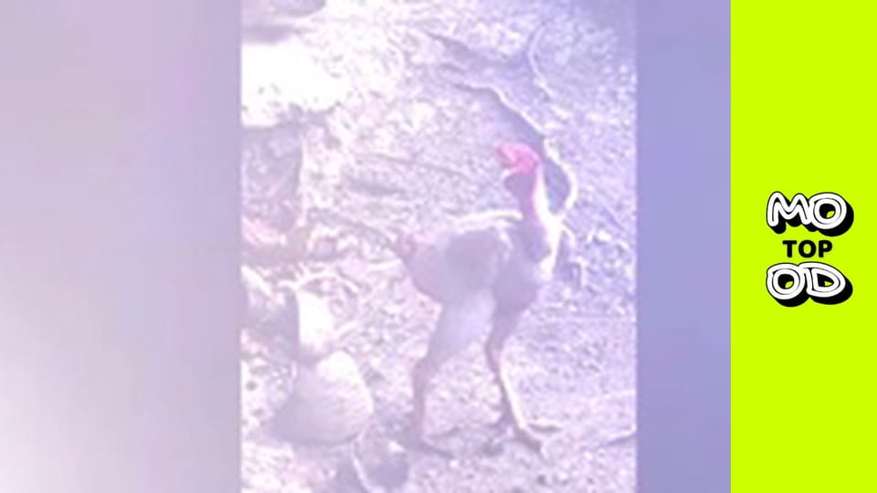 TopMood Сезон 2 Епізод 131