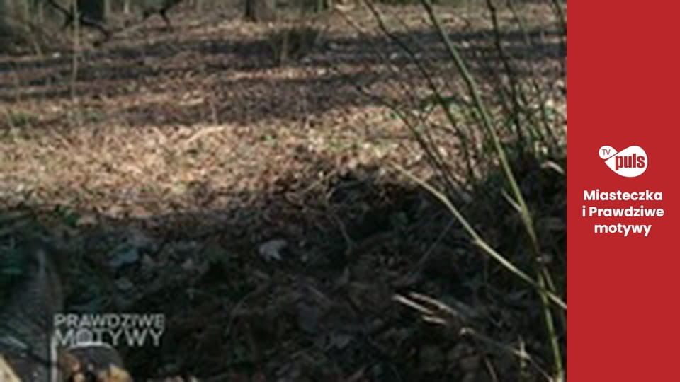 Prawdziwe motywy Сезон 1 Эпизод 23