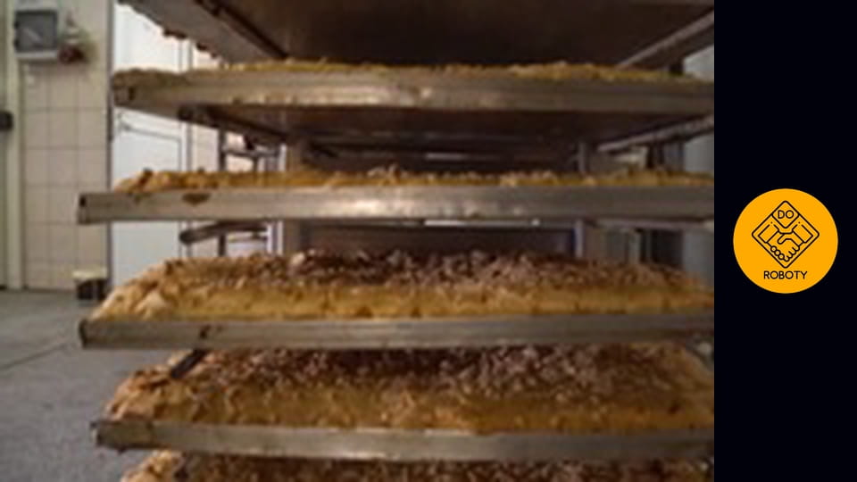 CO ROBI TECHNOLOG ŻYWIENIA I ILE MOŻE ZAROBIĆ PO STUDIACH?