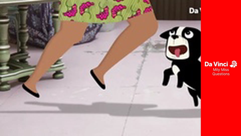 Прекрасно! Мы все такие разные