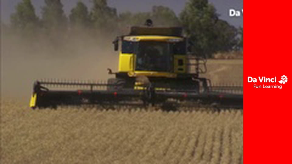 Всезнайко - Що змушує хліб рости?