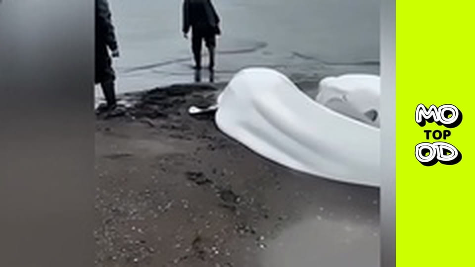 TopMood Сезон 4 Епізод 26