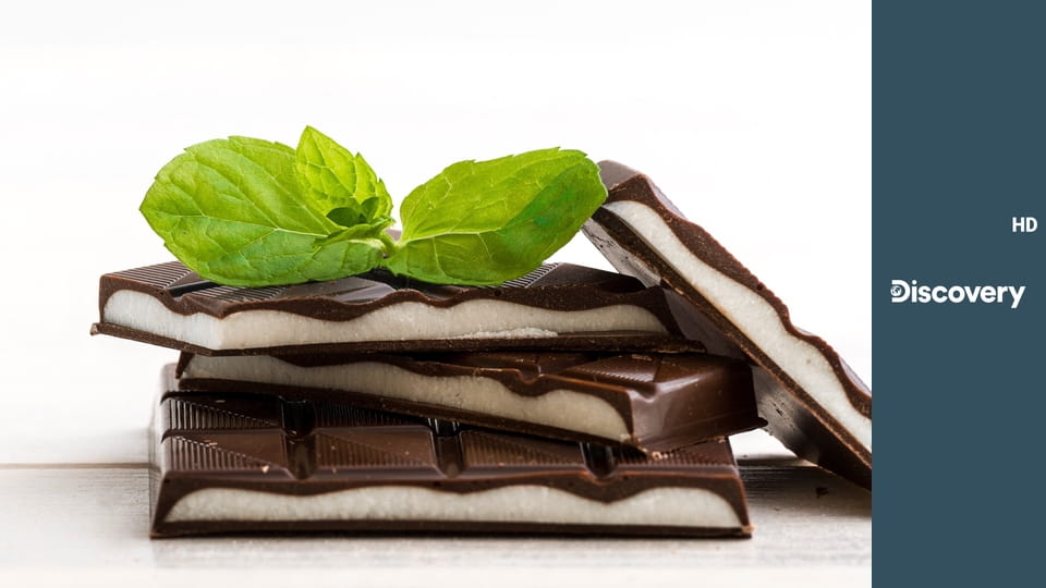 Как это устроено? S26E3 - Катушки для спиннинга, белковая терапия