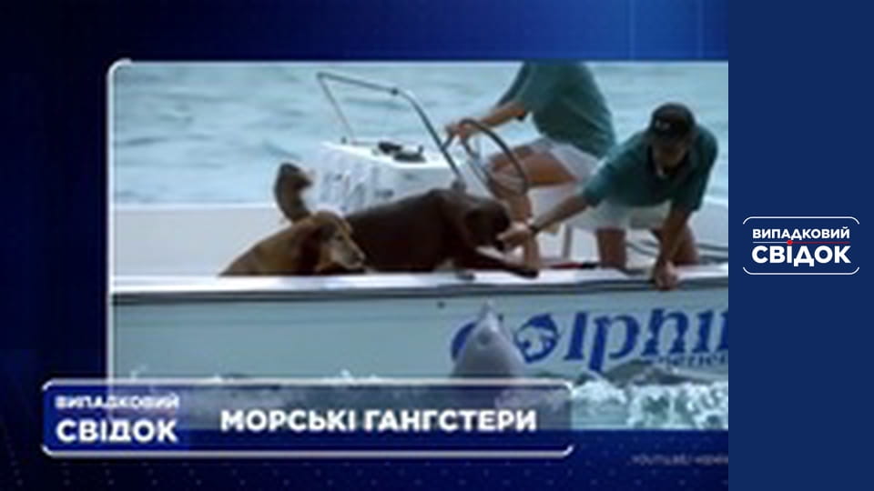 Випадковий свідок, Випуск 192