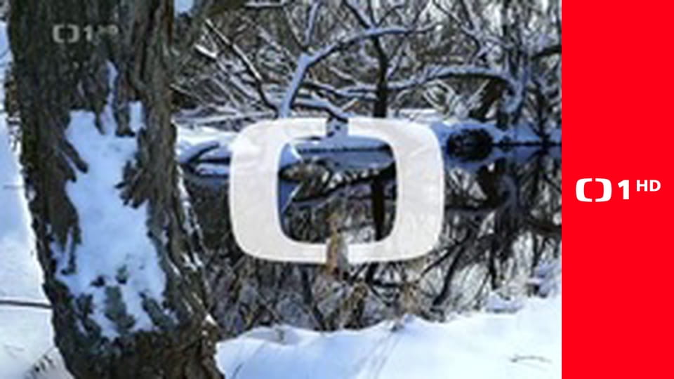 Zpátky do přírody - Jizerské hory