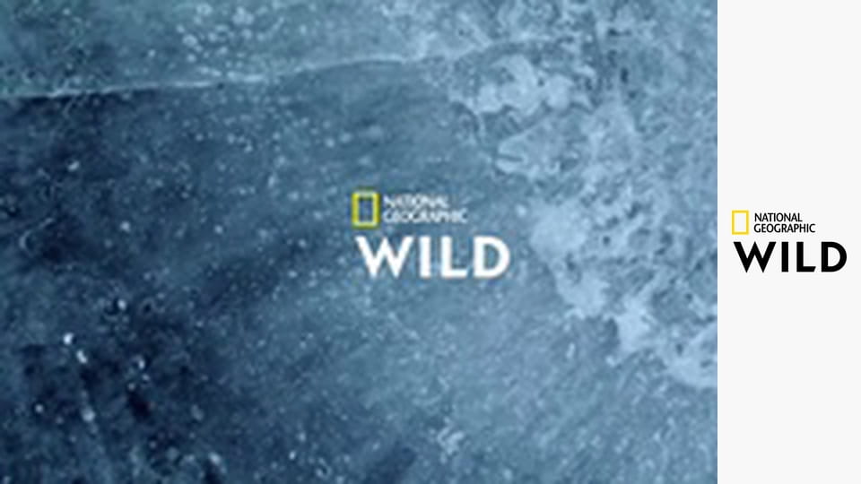 Невероятный доктор Пол S23E6