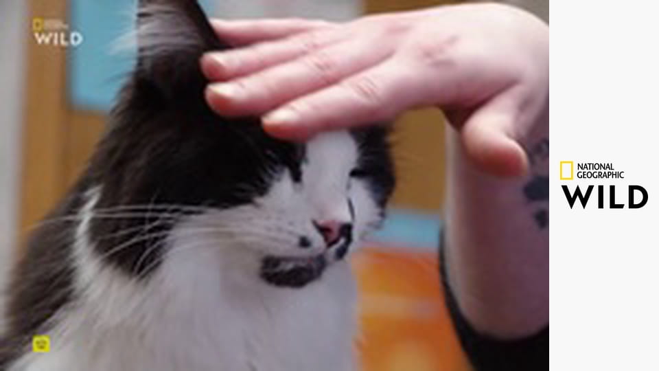 Невероятный доктор Пол S23E6