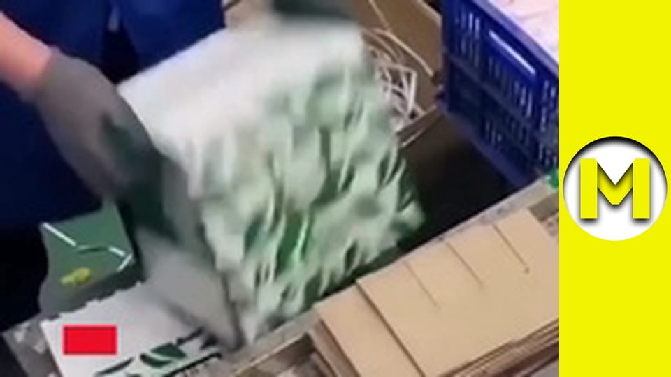 Max TV - сезон 1 - серія 76