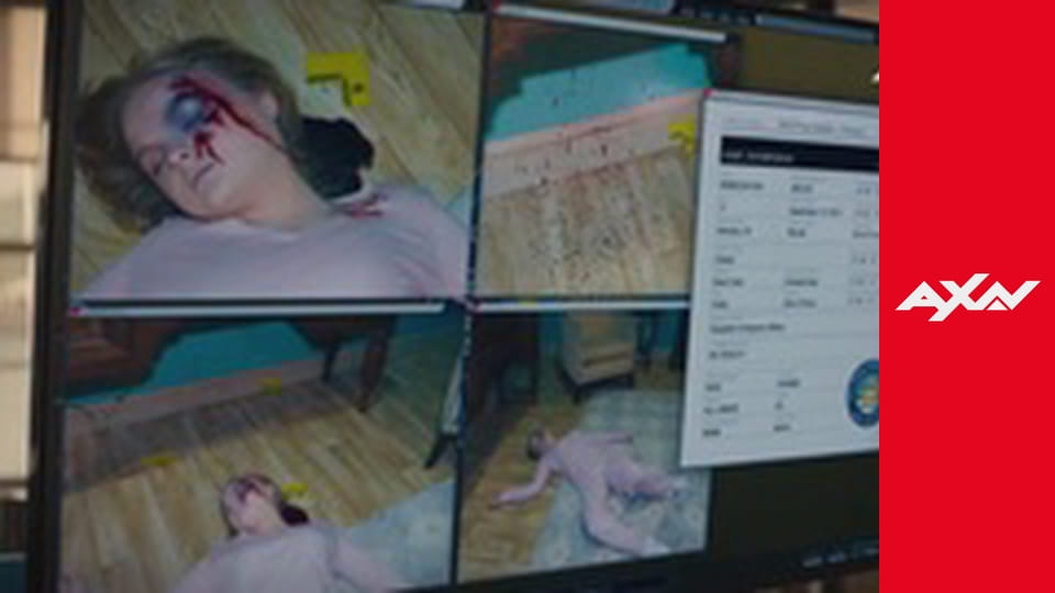 NCIS - Námorný vyšetrovací úrad: Havaj II (14)