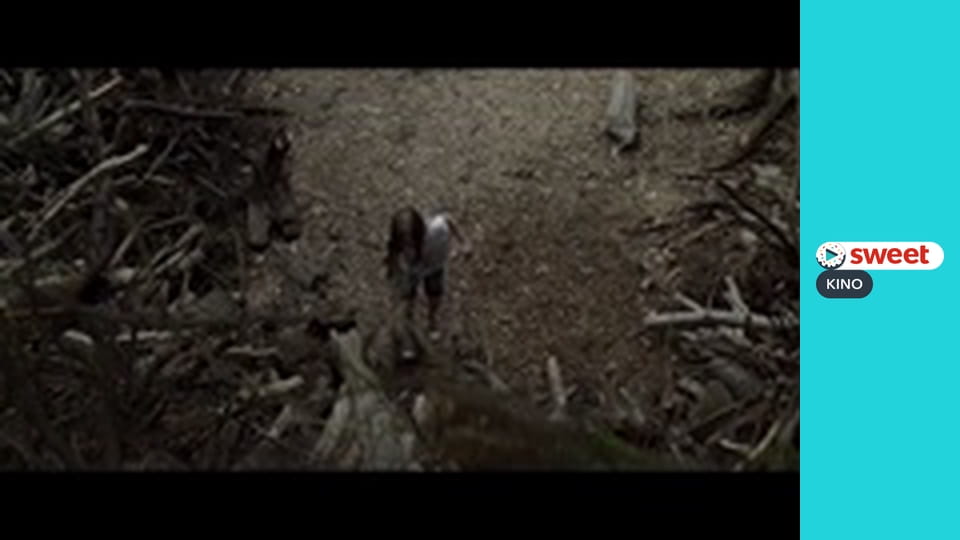 Кладбище домашних животных