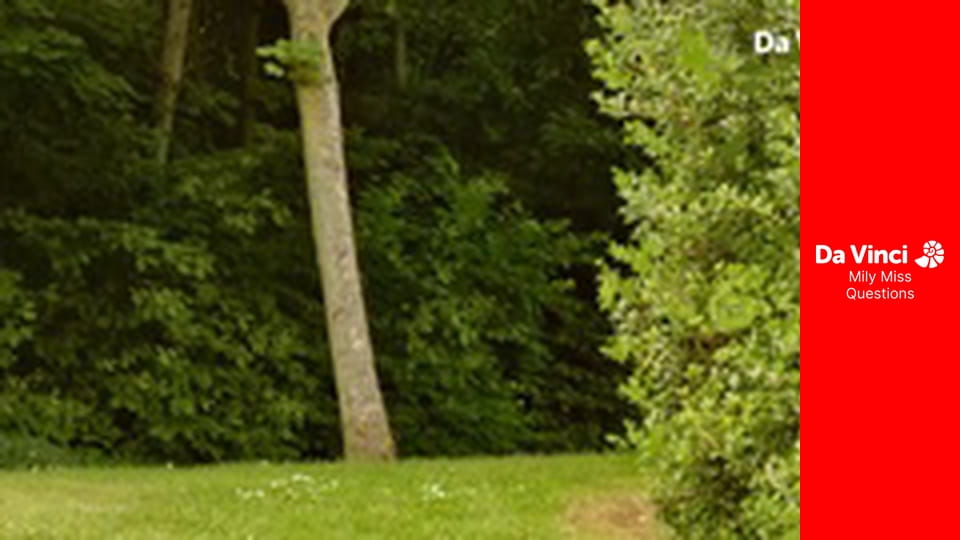 Честная игра