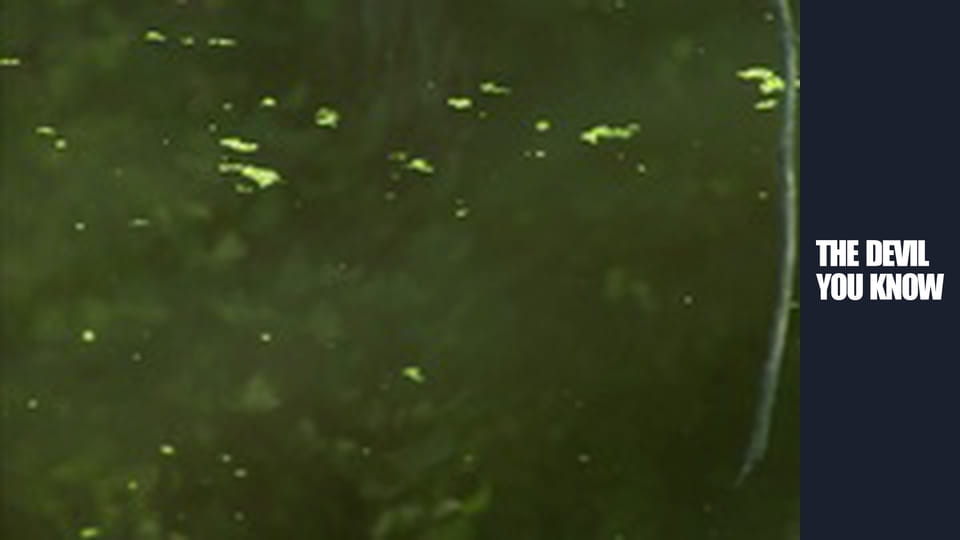 Mother Knows Best S3E8