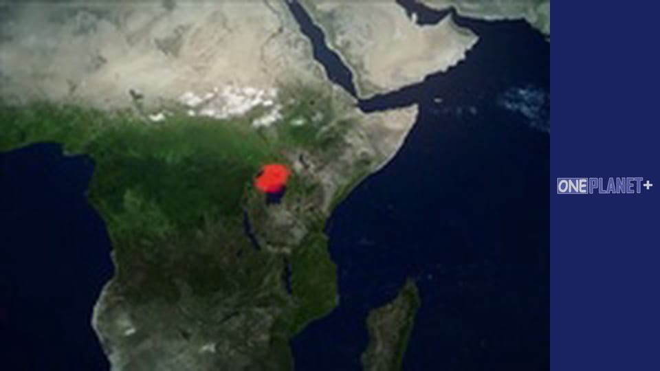 В поисках знаний. - cерия 20