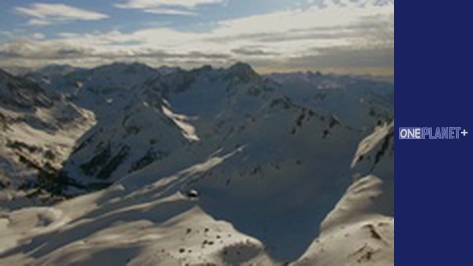 В поисках знаний. - cерия 23