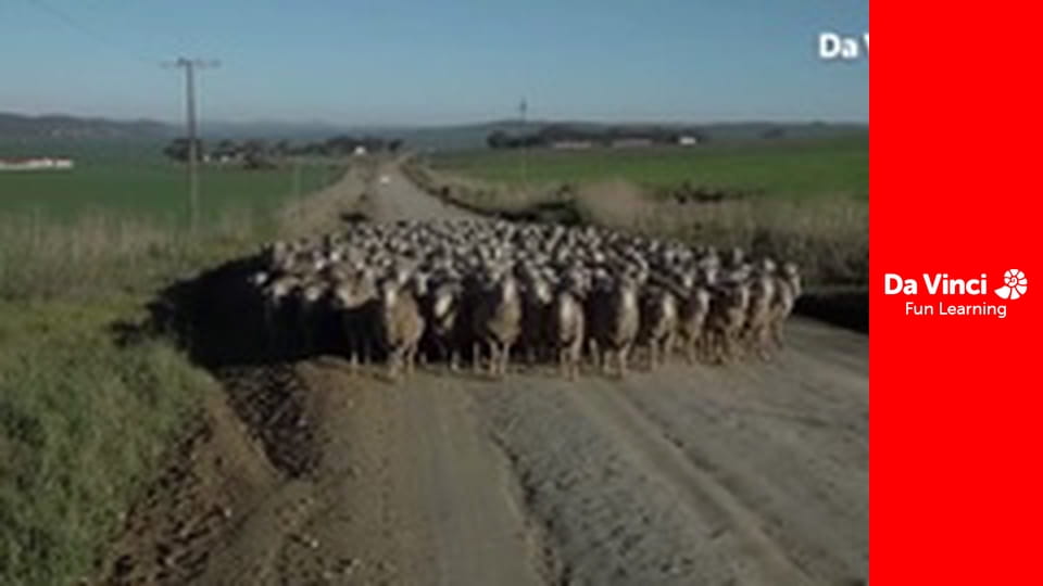 Сияя - Дикий мыс - Де-Гуп - место надежды